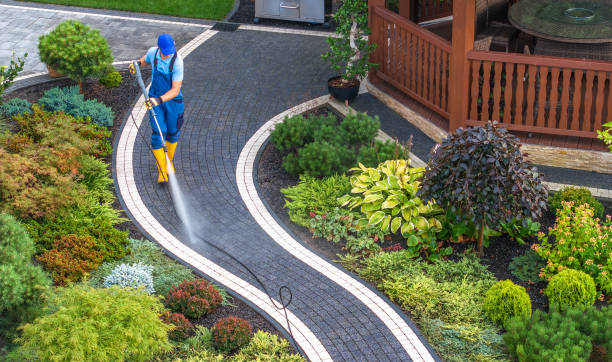 Best Sidewalk Pressure Washing  in Norwood Young America, MN